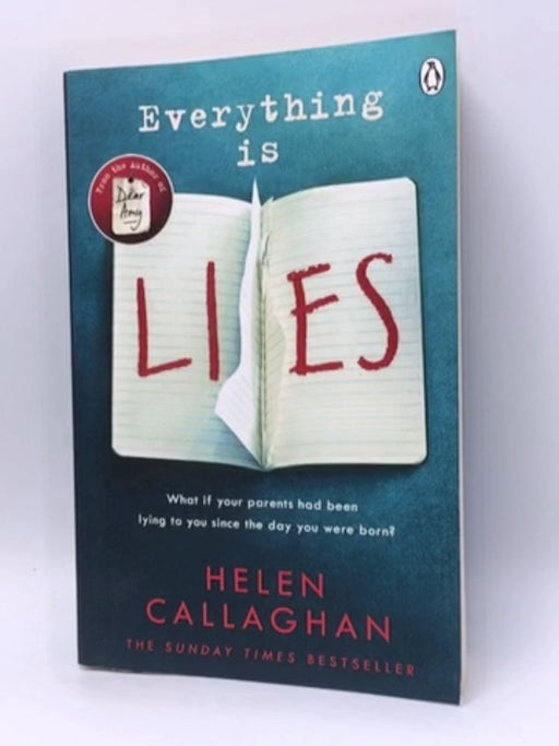 Everything Is Lies - Helen Callaghan; 