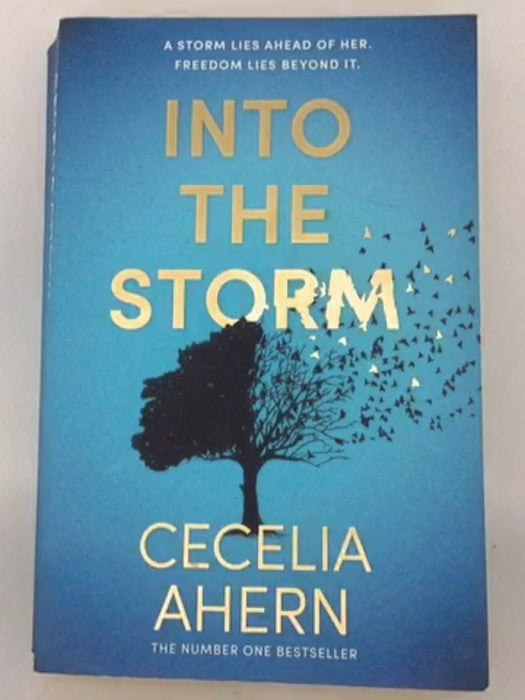 Into the Storm - Cecelia Ahern; 
