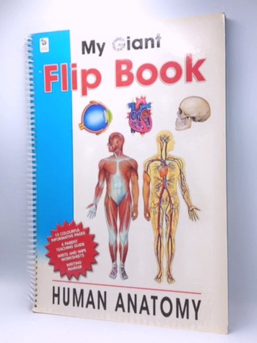 My Giant Flip Book : Human Anatomy - ChartStudio