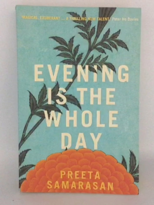 Up On Cloud Nine - Anne Fine