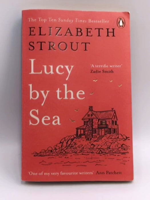 Lucy by the Sea - Elizabeth Strout; 