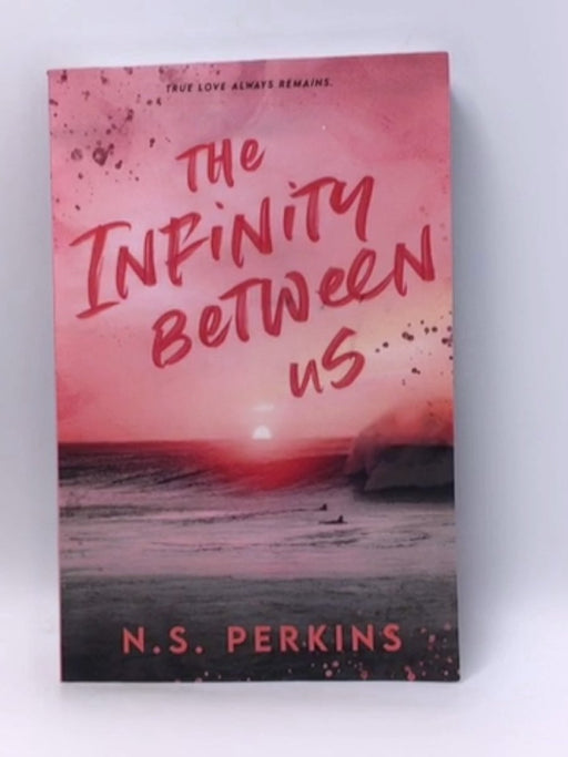 The Infinity Between Us - Ns Perkins; 