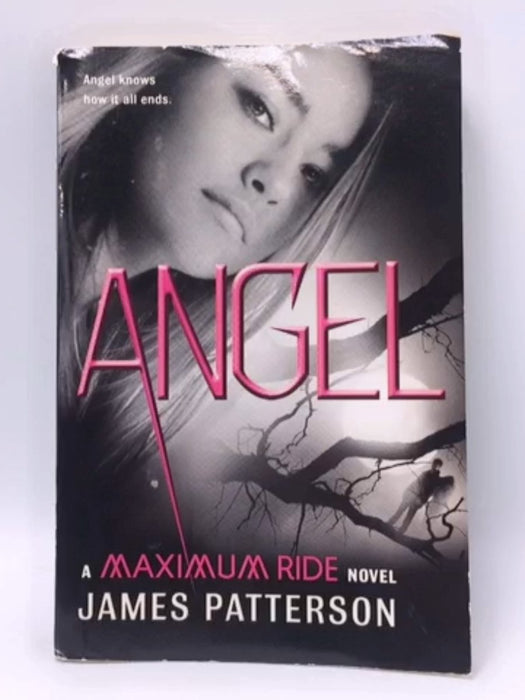 Angel - James Patterson; 