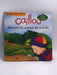 Caillou découvre les animaux de la forêt - Fabien Savary; Isabelle Vadeboncoeur; Tipéo; Marcel Depratto; 