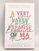 Very Large Expanse Of Sea - Tahereh Mafi; 