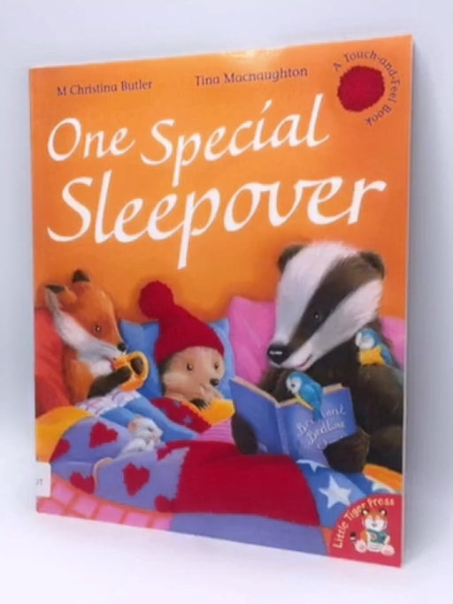 One Special Sleepover - M. Christina Butler; 