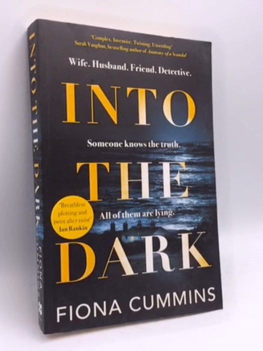 Into the Dark - Fiona Cummins; 