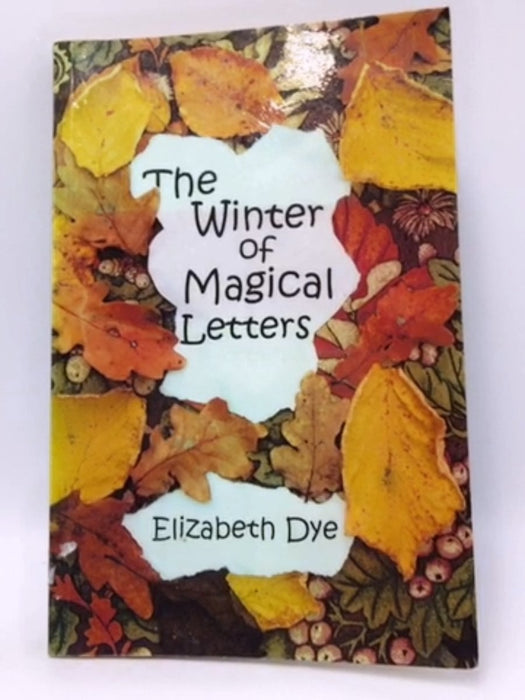 The Winter of Magical Letters - Elizabeth Dye