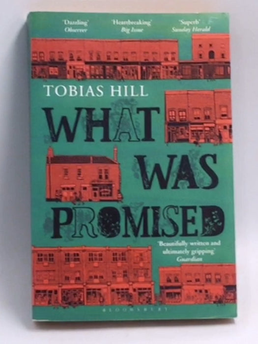 What Was Promised  -  Tobias Hill