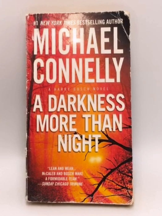 A Darkness More Than Night - Michael Connelly; 