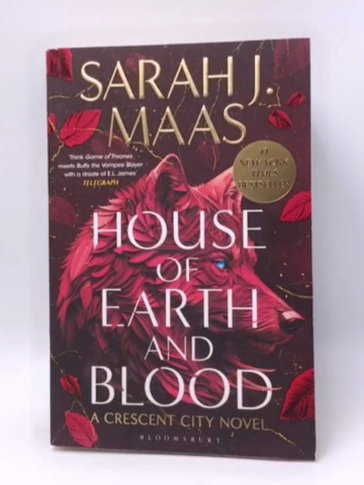 House of Earth and Blood - Sarah J. Maas 