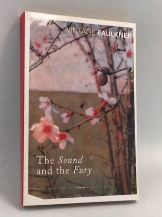The Sound and the Fury - William Faulkner