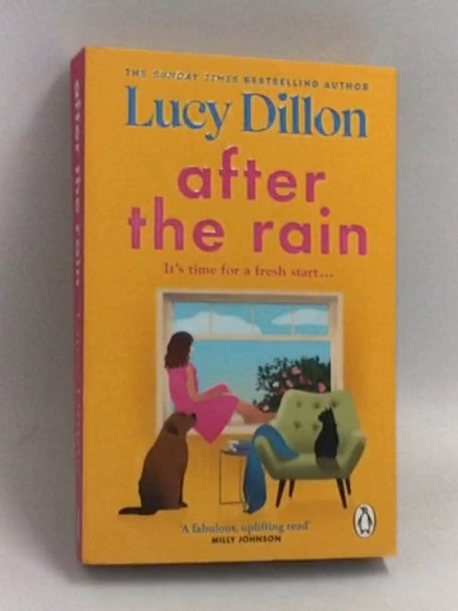 After the Rain - Lucy Dillon
