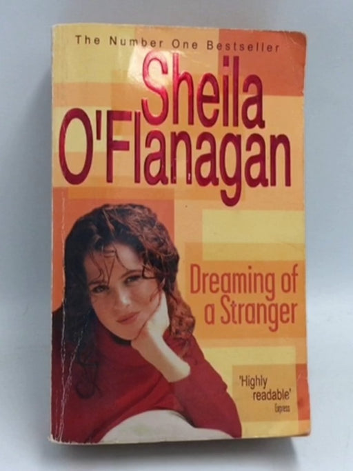 Dreaming of a Stranger - Sheila O'Flanagan