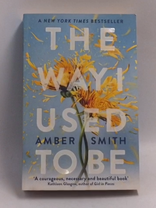 The Way I Used to Be - Amber Smith; 