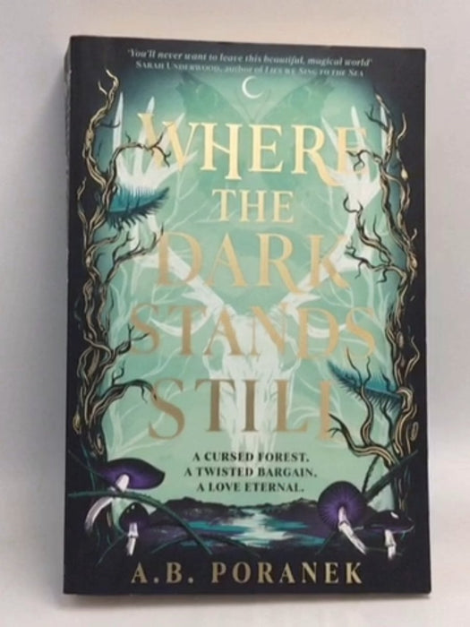 Where the Dark Stands Still - A.B. Poranek
