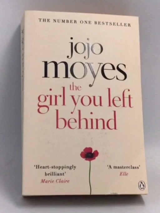 The Girl You Left Behind - Jojo Moyes; 