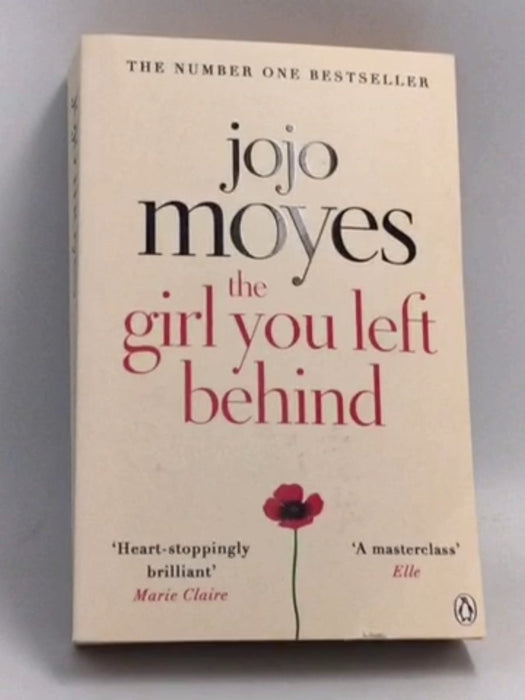 The Girl You Left Behind - Jojo Moyes; 