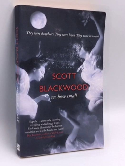 See How Small - Scott Blackwood; 