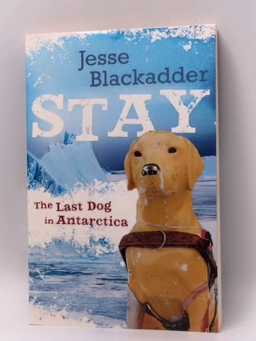 Stay - Jesse Blackadder; 