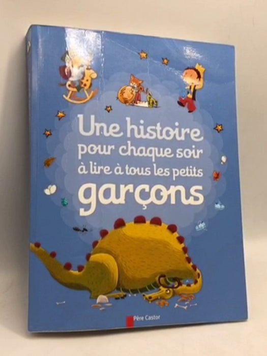Une histoire pour chaque soir à lire à tous les petits garçons - Flammarion,; 