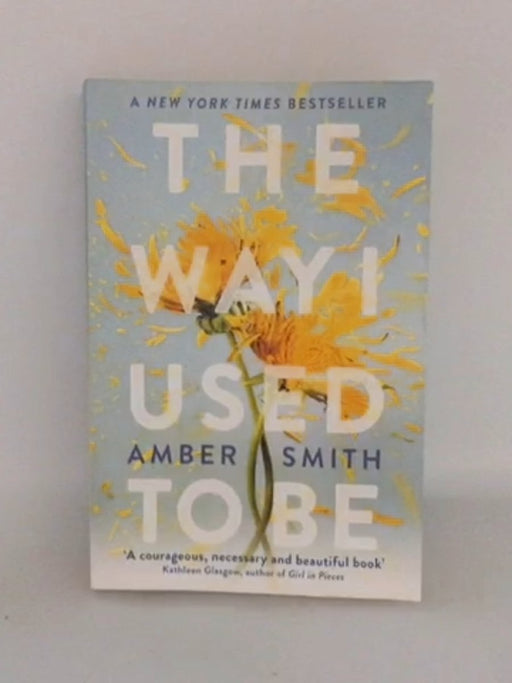 The Way I Used to Be - Amber Smith; 