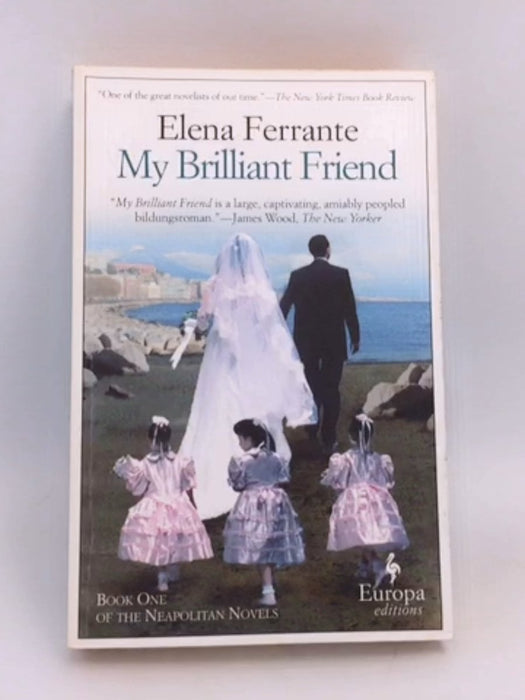 My Brilliant Friend - Elena Ferrante;