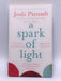 Spark Of Light - Jodi Picoult; 