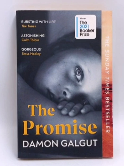 The Promise - Damon Galgut; 