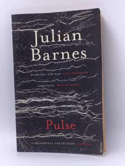 Pulse - Julian Barnes; 