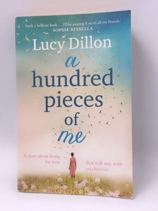 A Hundred Pieces of Me - Lucy Dillon; 