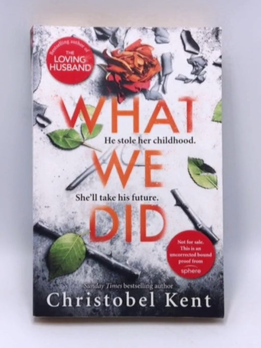 What We Did   - Christobel Kent