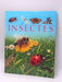 Les Insects - BEAUMONT Emilie