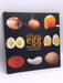 The Illustrated Egg Handbook- [Hardcover] - Ayuko Kashimori; 