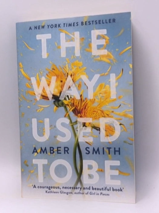 The Way I Used to Be - Amber Smith; 