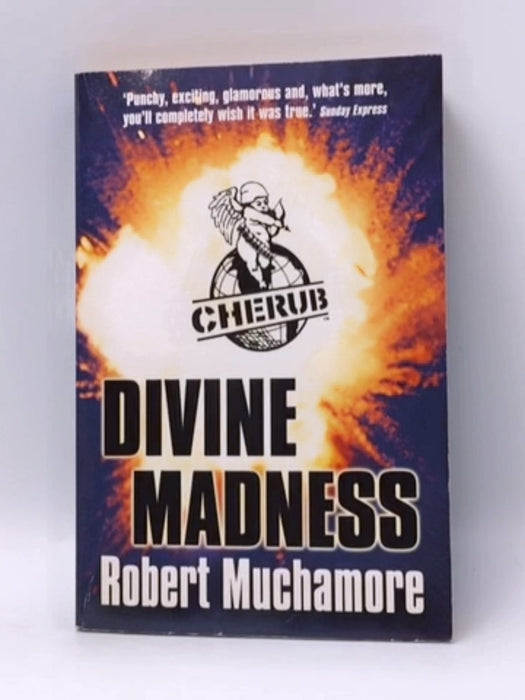 Divine Madness  - Muchamore, Robert