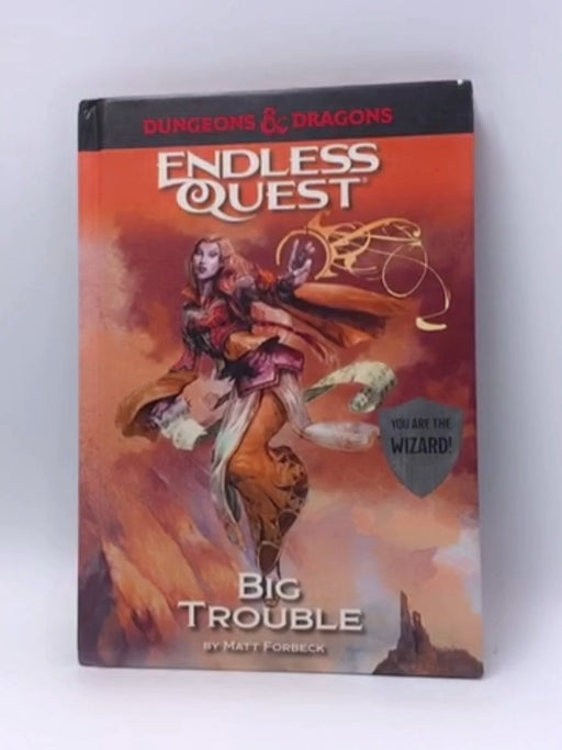 Dungeons and Dragons Endless Quest - Hardcover - Matt Forbeck; 