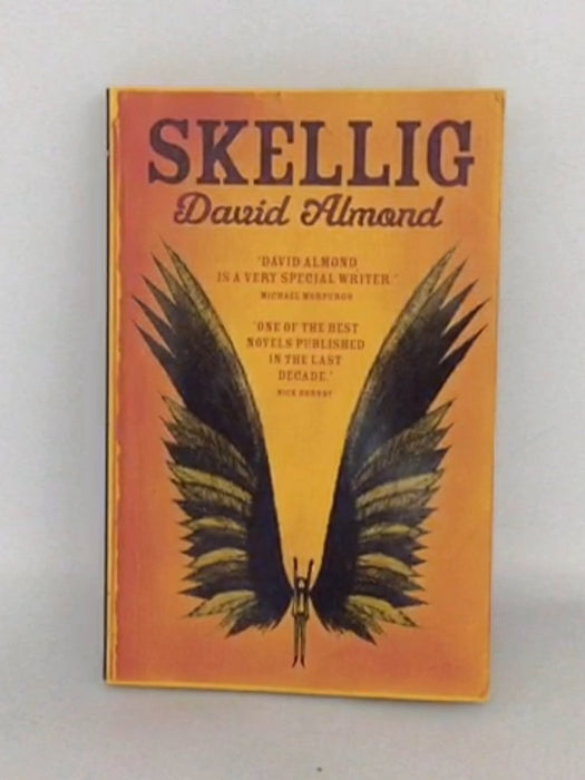 Skellig - David Almond; 