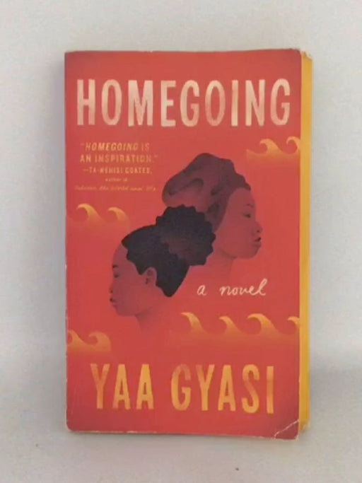 Homegoing - Yaa Gyasi; 