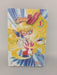 Codename Sailor V - Naoko Takeuchi; 