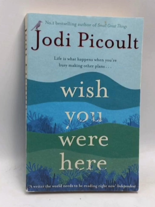 Wish You Were Here - Jodi Picoult; 