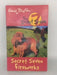 Secret Seven fireworks - Enid Blyton