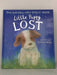 Little Puppy Lost- [Hardcover] - Holly Webb; 