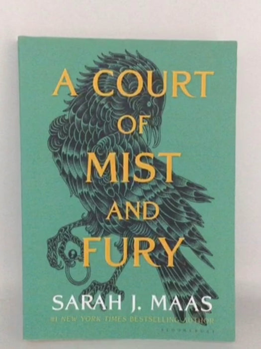 A Court of Mist and Fury - Sarah J. Maas; 