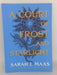 A Court of Frost and Starlight - Sarah J. Maas; 