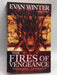The Fires of Vengeance - Evan Winter; 