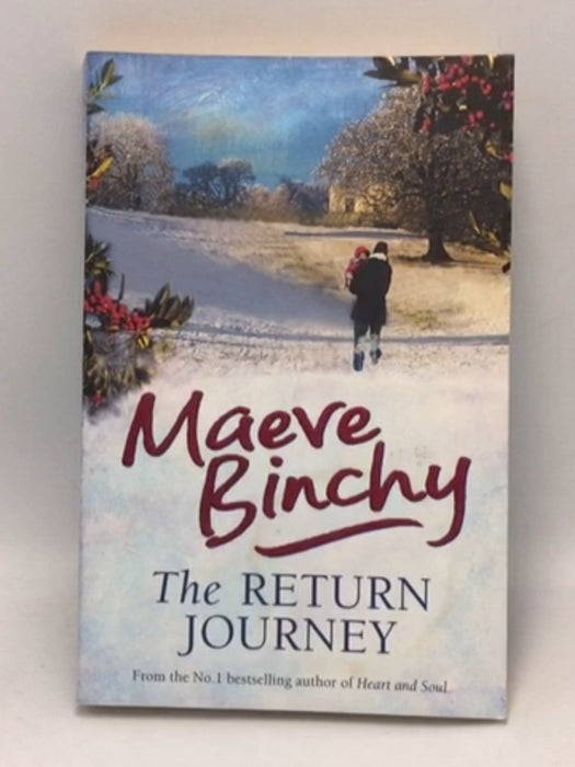 The Return Journey - Maeve Binchy