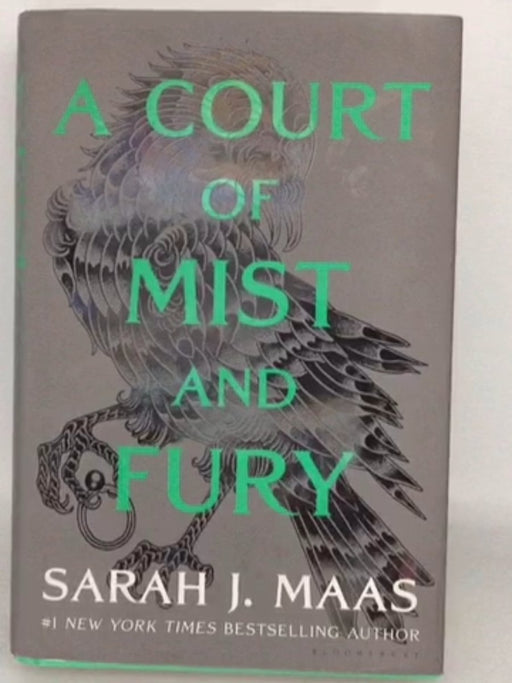 A Court of Mist and Fury - Sarah J. Maas; 