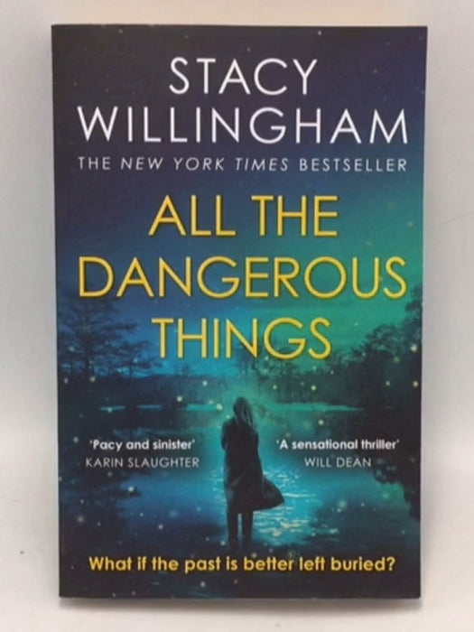 All the Dangerous Things - Stacy Willingham; 