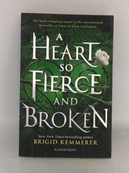 A Heart So Fierce and Broken - Brigid Kemmerer; 